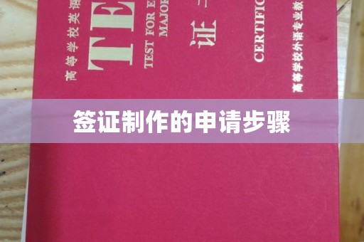 乌拉特前旗签证制作的申请步骤