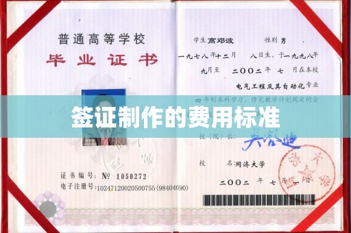 乌拉特前旗签证制作的费用标准